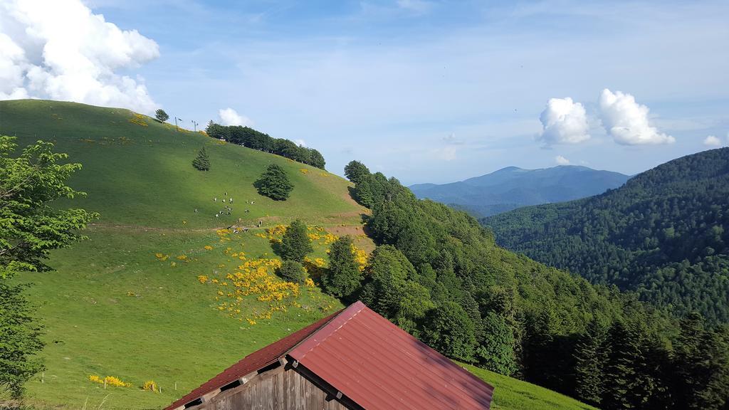 Gite De Papy Toualy Bussang Zewnętrze zdjęcie